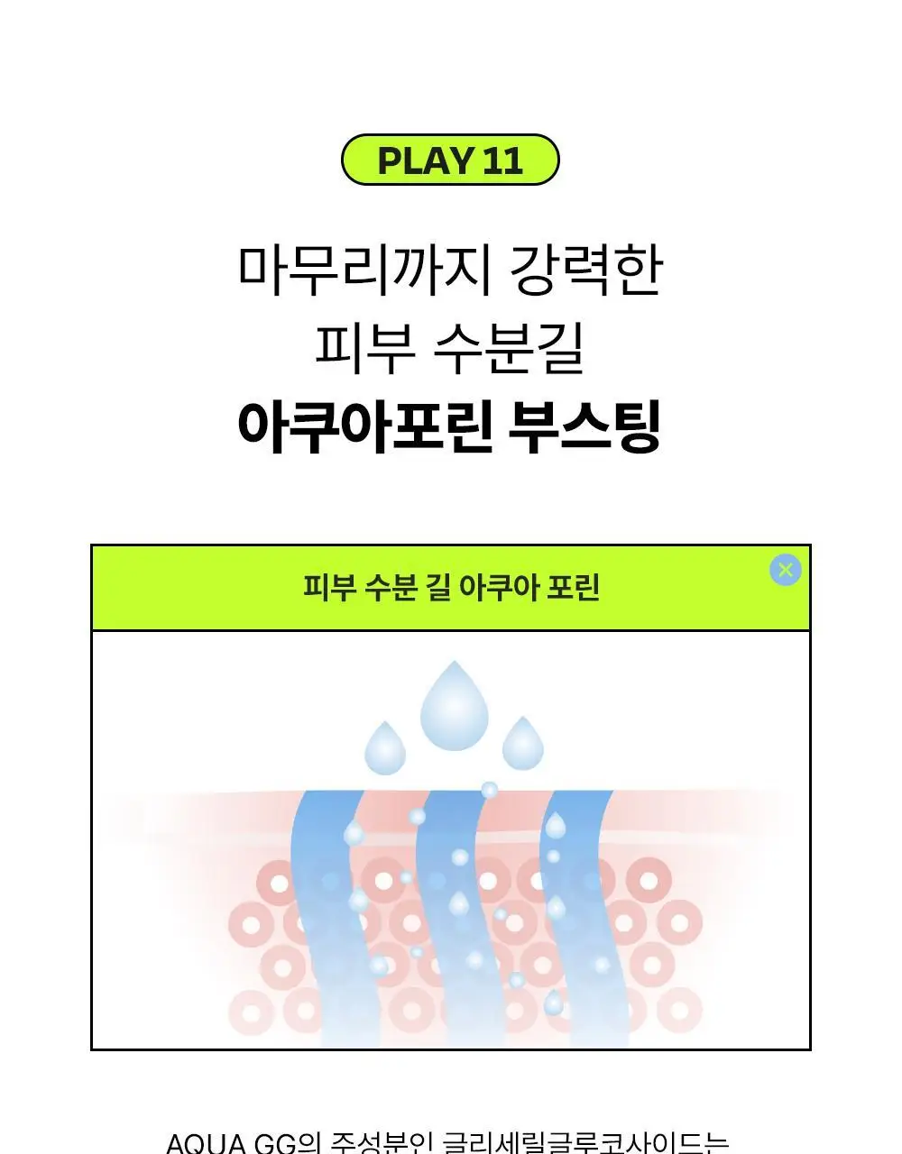 [48H수분지속/대용량] 에딧비 수분 장벽 팡 히알루론산 판테놀 앰플 100ml 상세페이지 27